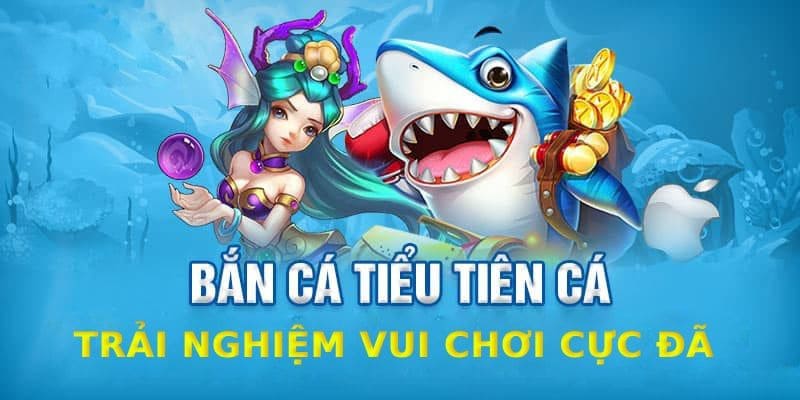 Tỷ lệ trả thưởng cực cao cho hội viên kiếm lợi nhuận khủng
