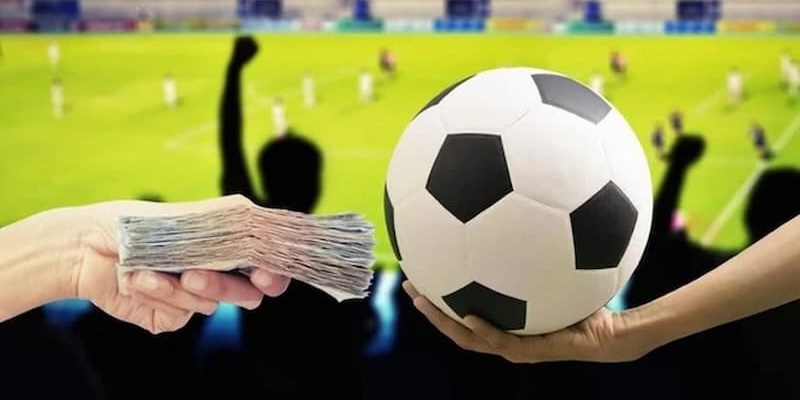 Mời bạn đến chơi cá độ thể thao tại nhà cái 