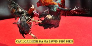 Những thể loại hấp dẫn được đông đảo người chơi lựa chọn