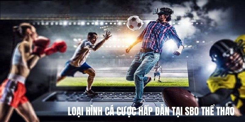 Những loại hình đặt cược thú vụ tại sảnh thể thao SBO