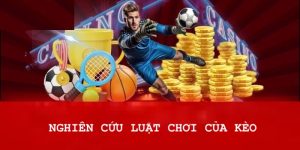 Chia sẻ kinh nghiệm chơi cá độ chắc thắng cho người dùng
